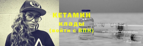 стаф Аркадак