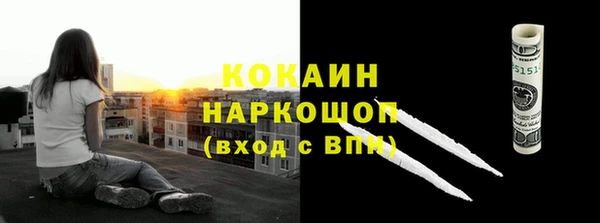 стаф Аркадак