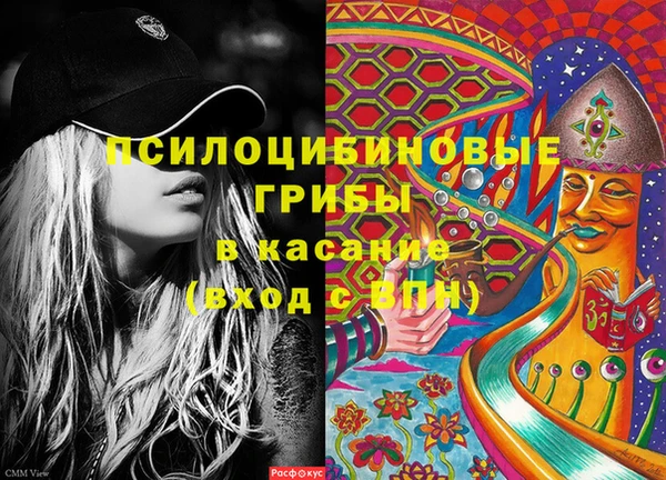 стаф Аркадак