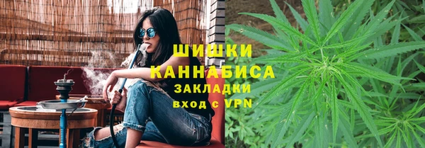стаф Аркадак
