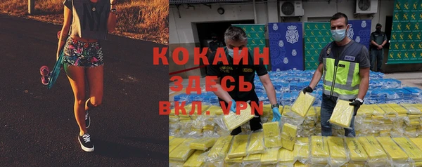 стаф Аркадак