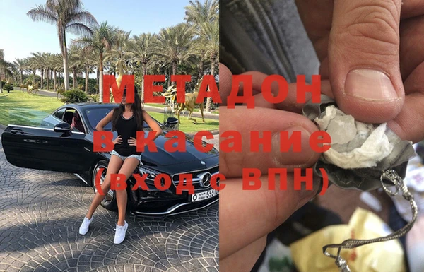 стаф Аркадак