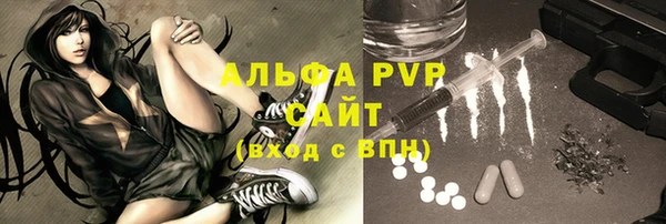 стаф Аркадак