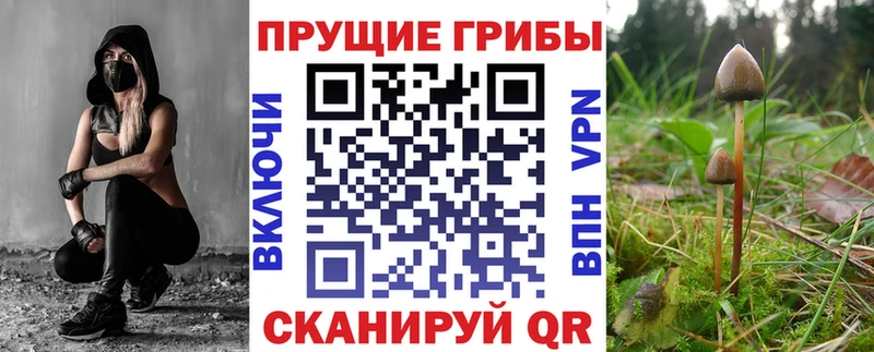 Галлюциногенные грибы Magic Shrooms  как найти наркотики  Изобильный 